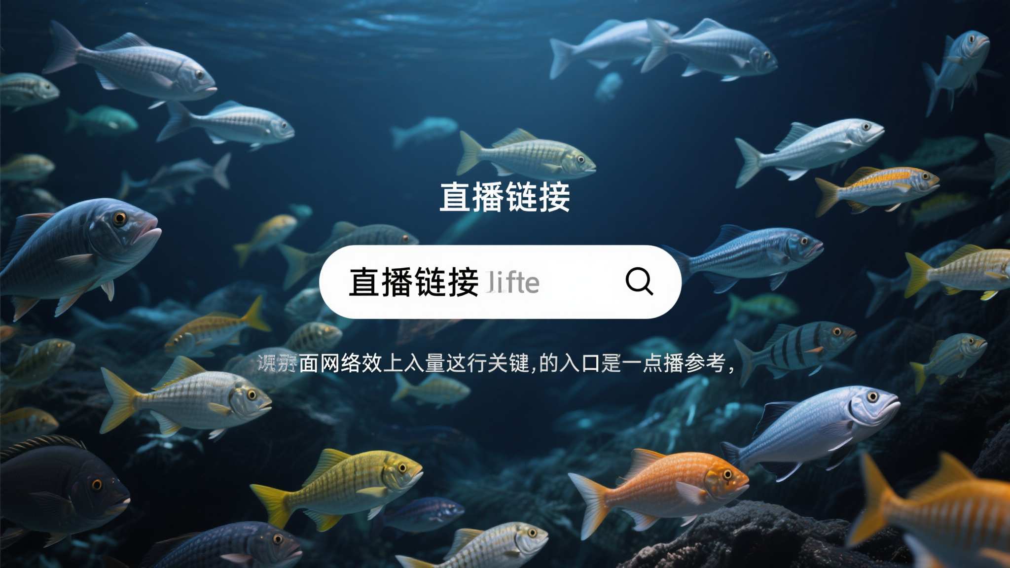 世界杯竞猜服务介绍